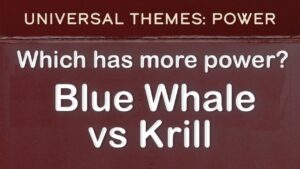 Power – Blue Whale vs Krill