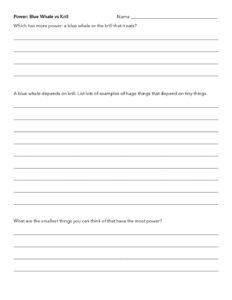 worksheet