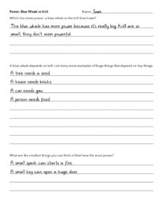 worksheet