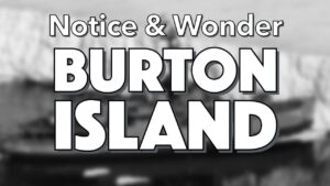 Notice, Wonder: Burton Island