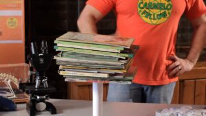 one piece of rolled-up paper