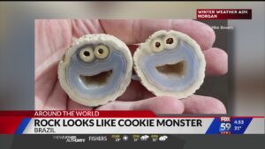 a rock that looks like Cookie Monster