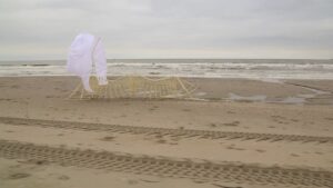 Wind-Powered Strandbeest Walks the Beach