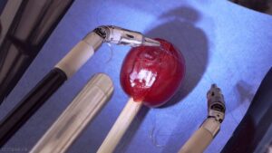 Surgical Robot Sews a Grape