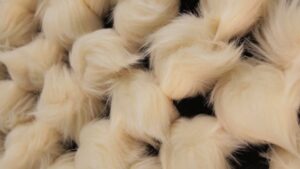 A Mirror Made Entirely Out of Fur