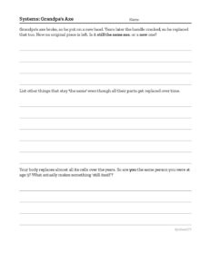 worksheet