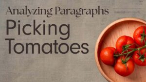 Analyze Paragraphs: Tomatoes