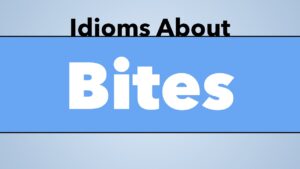 Idioms About Bites