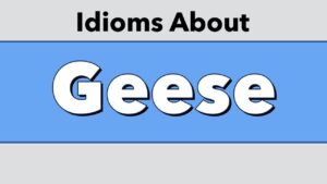 Idioms About Geese