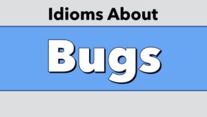 Idioms About Bugs