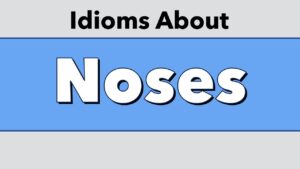 Idioms About Noses